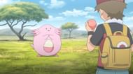Team Rocket sells rare creatures that also happen to be available in the Safari Zone (Image via The Pokemon Company)